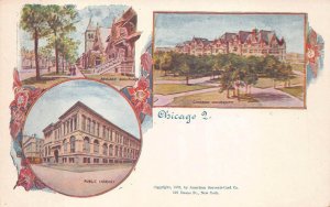 ASHLAND BLVD CHICAGO UNIVERSITY & PUBLIC LIBRARY CHICAGO ILLINOIS POSTCARD 1897