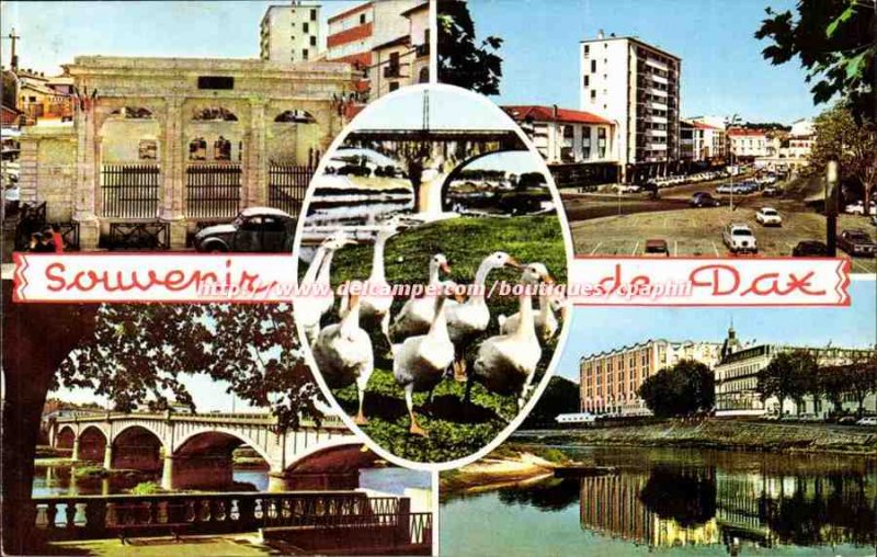 Modern Postcard Souvenir de Dax (Splendid hot fountain geese)