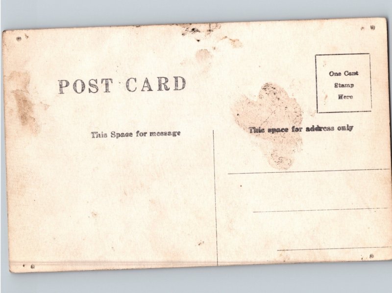 c1910 Group Of Beautiful Women In Tall Grass RPPC Real Photo Postcard