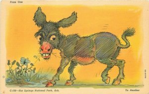 Comic Humor Walters Donkey 1940s Hot Springs Arkansas C-168 Teich Postcard 10409