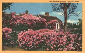 The Rose Cottage Garden Landscape Cape Cod Massachusetts Vintage Postcard 1954