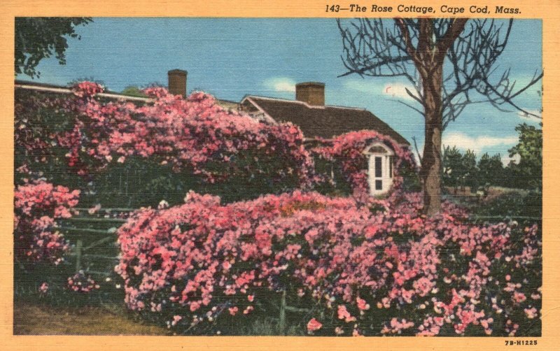 Vintage Postcard 1954 The Rose Cottage Garden Landscape Cape Cod Massachusetts