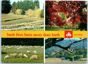 M-17561 Bush fires burn more than bush Victoria Australia