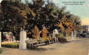 Grand Island Nebraska~Lyons Grove Summer Resort~Horse & Buggy @ Gate~c1910 Pc