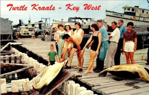 Key West, FL Florida TURTLE KRAALS Bathing Beauty~Families~Dock ca1950s Postcard