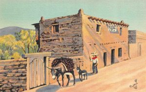 SANTA FE, New Mexico NM  OLDEST HOUSE IN US Donkey/Mule & Baby ca1940's Postcard