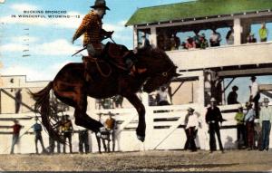 Wyoming Cheyenne Frontier Days Bucking Broncho 1950