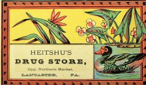 1870's Heitshu's Drug Store Dragonfly Duck w/ Night Calls Lancaster Card F101