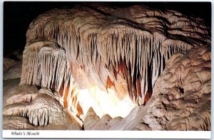 M-104776 Whale's Mouth Carlsbad Caverns National Park New Mexico USA