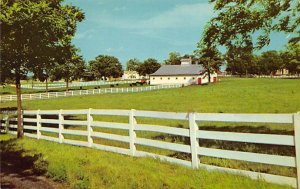 Horse Farm in the Heart of the Bluegrass Region Lexington Kentucky  