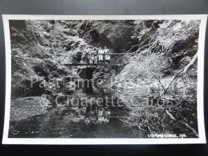 Devon LYDFORD GORGE showing people on the foot bridge c1950's RP Postcard