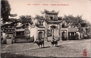 Cochinchina Vietnam Hanoi Tonkin Sontay Pagode des Mandarins Postcard C079