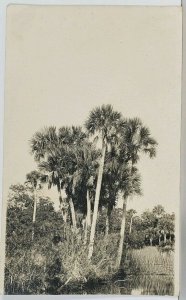 Warren Maine 1913 to Thomaston RPPC Scenery Landscape Postcard K11