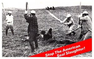 Stop the American Seal Slaughter