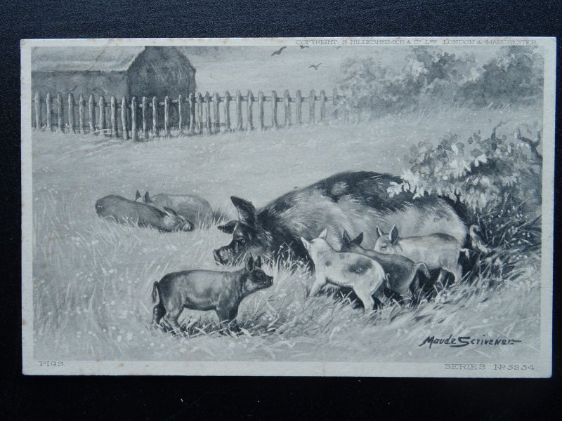 Country Life 5 x FARM YARD ANIMALS c1904 Postcard by Hildesheimer 5234