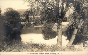 Sidney New York NY Unadilla River Bird's Eye View Real Photo Vintage Postcard