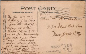 RPPC Postcard View Madison Park Chicago IL 1907