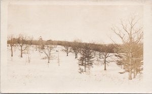 Winter Nature Scene Snow Tress 1908 Toronto Ontario ON Cancel RPPC Postcard H54