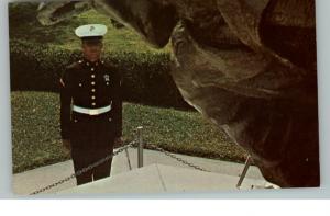 Parris Island SC Marine Corps Grad Postcard