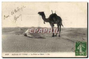 Algeria Old Postcard Scenes and Types The prayer of the desert (camel camel)