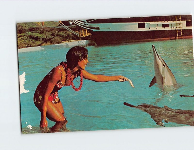 Postcard Hawaiian girl feeds her pets Sea Life Park Waimanalo Beach Hawaii USA