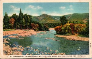 New Hampshire White Mountains Bretton Woods Mt Pleasant and The Ammonoosuc Ri...