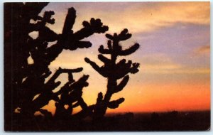 Postcard - Sunset On The Desert