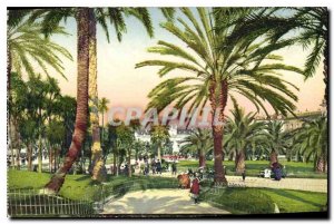 Postcard Old Nice gardens Albert Palm Study