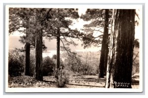 RPPC Landscape View Big Bear Lake California CA UNP Pedersen Photo Postcard Z9