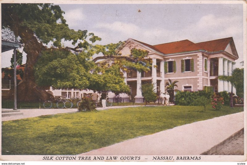 NASSAU , Bahamas , 1910-30s ; Silk Cotton Tree & Law Courts