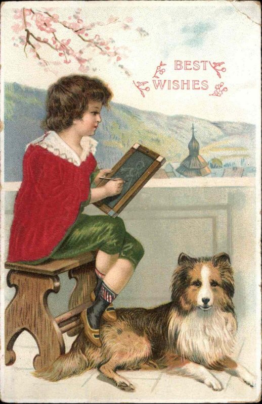 Little Boy Collie Dog Chalkboard Slate Real Silk Clothing c1910 Postcard