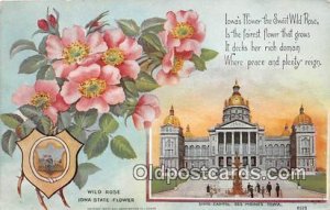 Wild Rose, State Capitol Des Moines, Iowa, USA 1910 