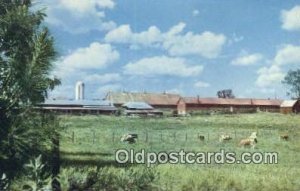 Placid Oaks Farms - St Bernard, Alabama AL Postcard