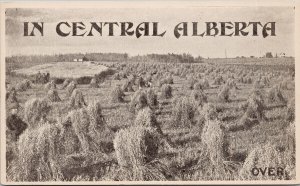 In Central Alberta Development League Edmonton AB Farming UNUSED Postcard F60
