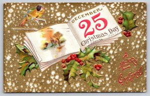 Holiday~Merry Christmas~Calendar~Church~Bird On Branch~Holly~Emb~1910 Postcard