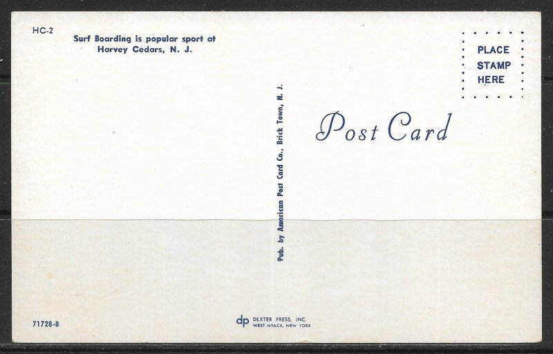 New Jersey, Harvey Cedars On The Beach - [NJ-144]