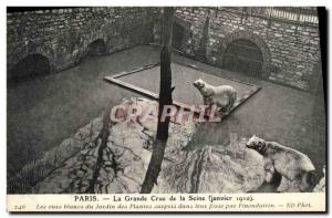 Old Postcard The Great Paris flood of the Seine Polar bears the Jardin des Pl...