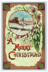 C. 1910 Snow Drops Art Nouveau Christmas Postcard F108E