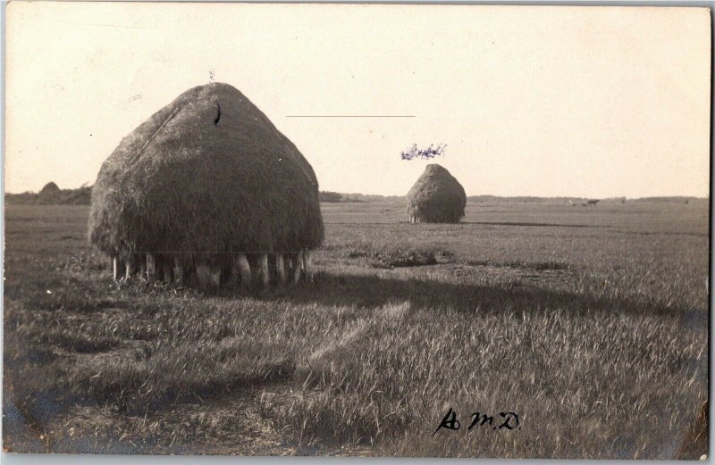 RPPC View of Haycocks, MA c1906 Undivided Back Vintage Postcard V30