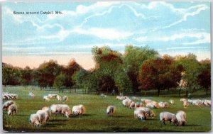 Scene Around Catskills Mountains New York NY Pastoral Area Farm Grounds Postcard