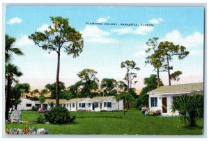 c1960's Flamingo Colony Sarasota Florida FL Unposted Vintage Postcard