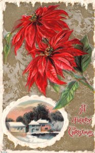 Vintage Postcard A Merry Christmas Landscape Winter Poinsettia Flower Greetings