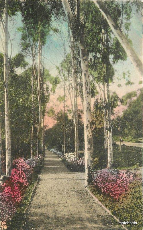 1920s Palos Verdes Estates California Sylyan Malaga Park Albertype 7878
