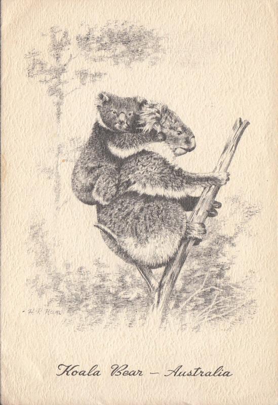 Australia Koala Bear greeting card 2scans