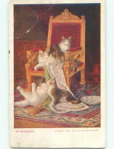 Divided-Back CUTE CAT SCENE Great Postcard AA9477