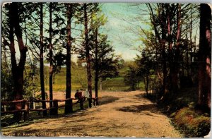 Roadside Scene in Roscoe Conkling Park, Utica NY c1914 Vintage Postcard F56