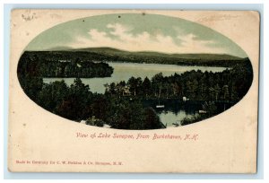 c1900 View of Lake Sunapee, From Burkehaven New Hampshire NH PMC Postcard