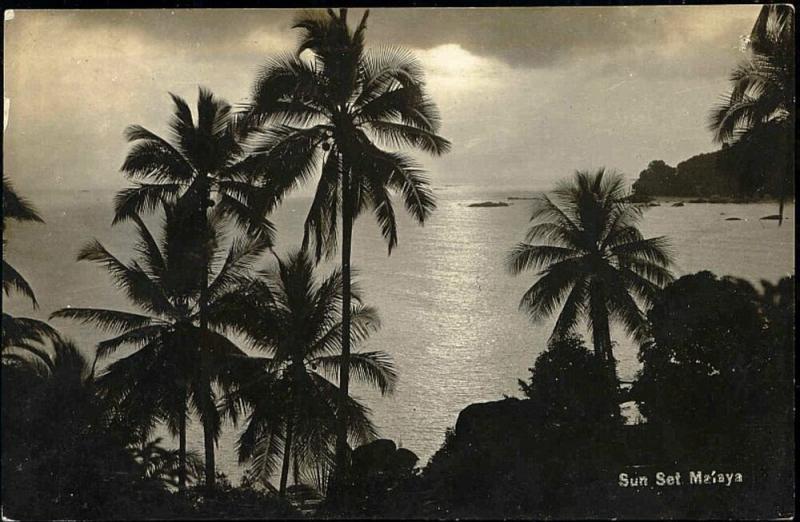 malay malaysia, Sunset with Palm Trees (1920s) RPPC