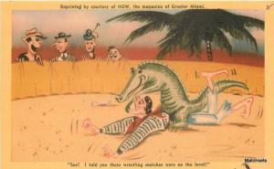 1940s Alligator Wrestling Humor artist impression postcard 8366