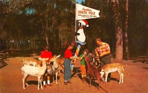 Santa's South Pole at Tommy Bartlett's Deer Ranch Silver Springs, Florida